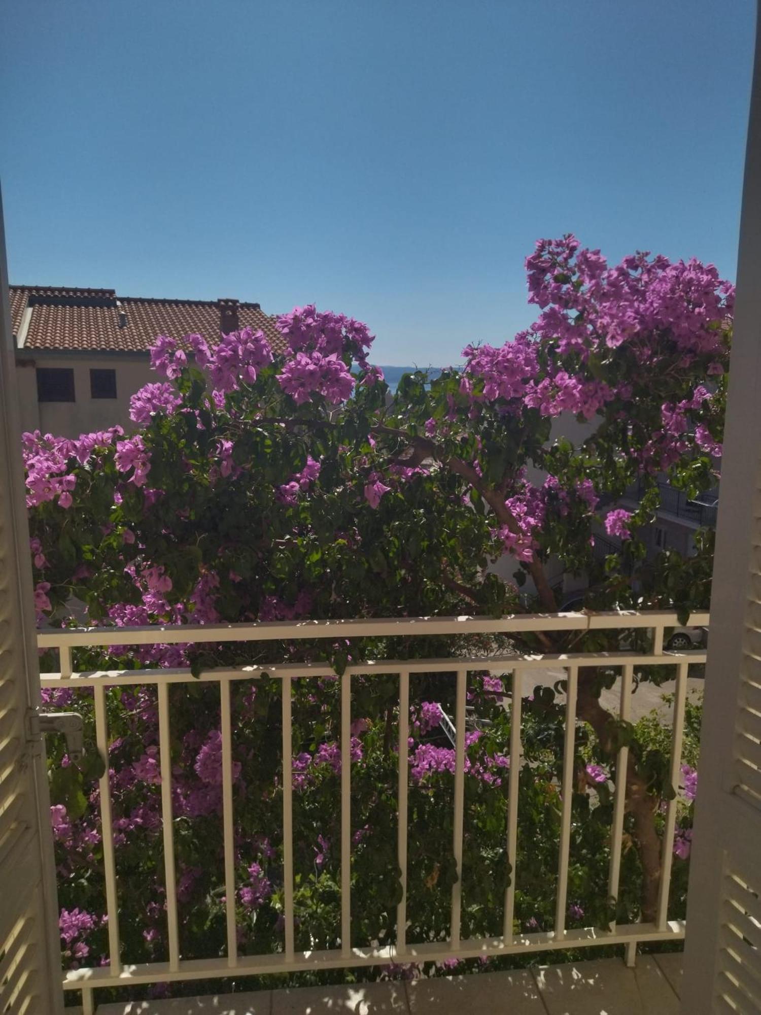 Apartmani מאקרסקה מראה חיצוני תמונה